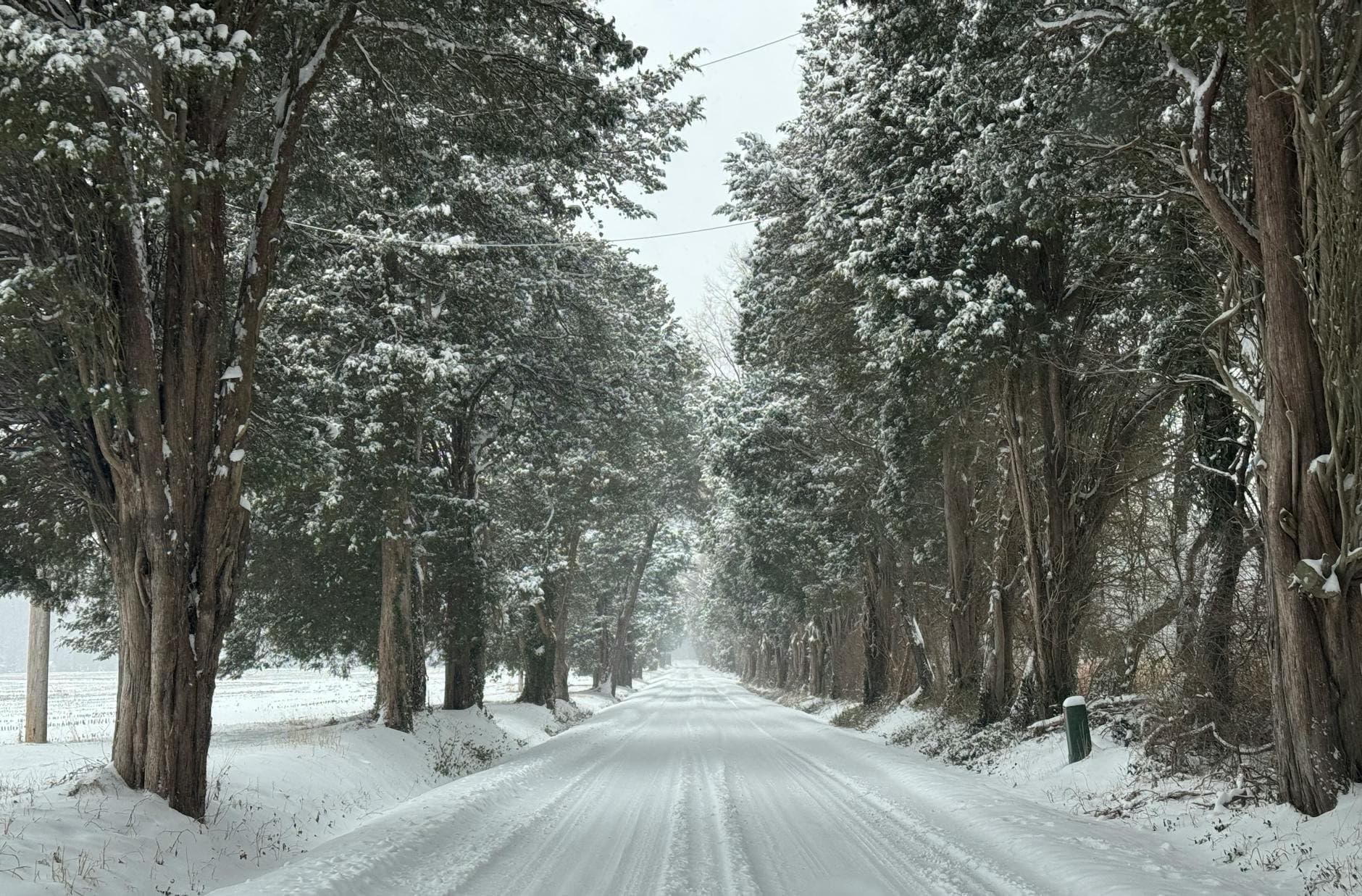Chestertown breweries