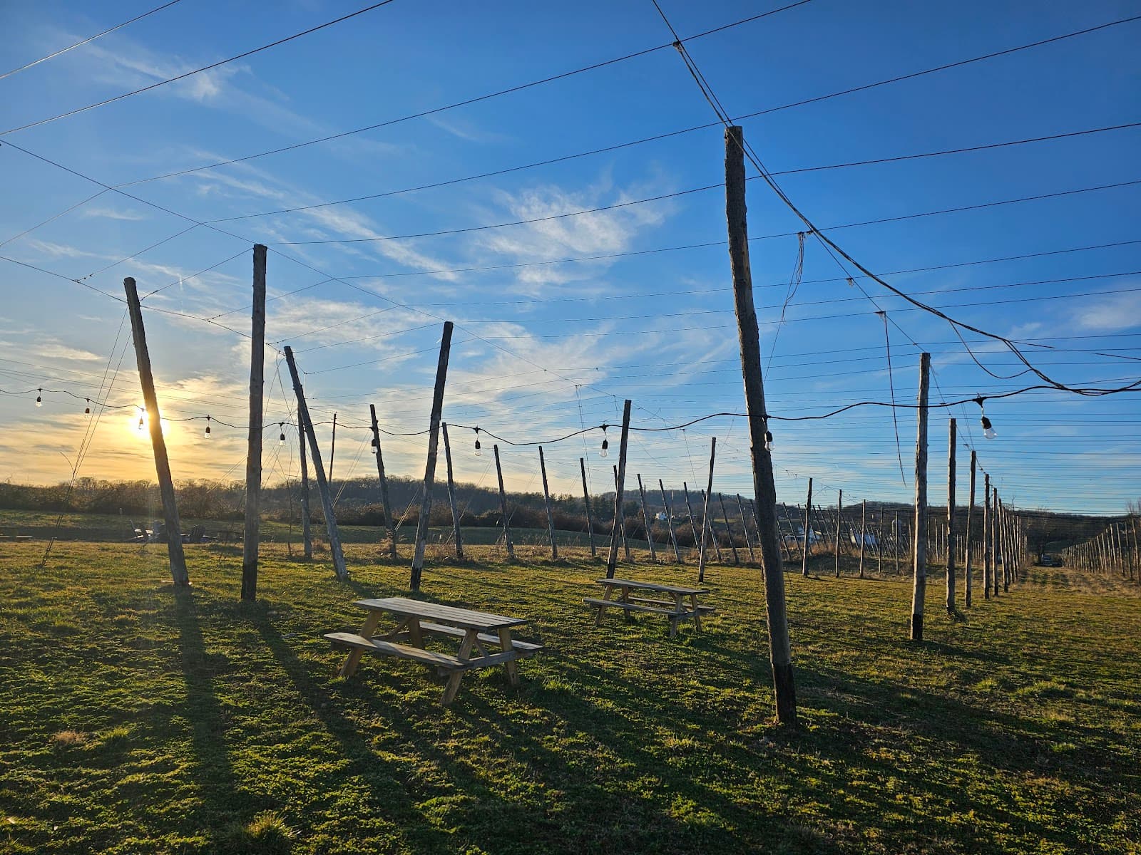 Prospect Point Brewing photo 4