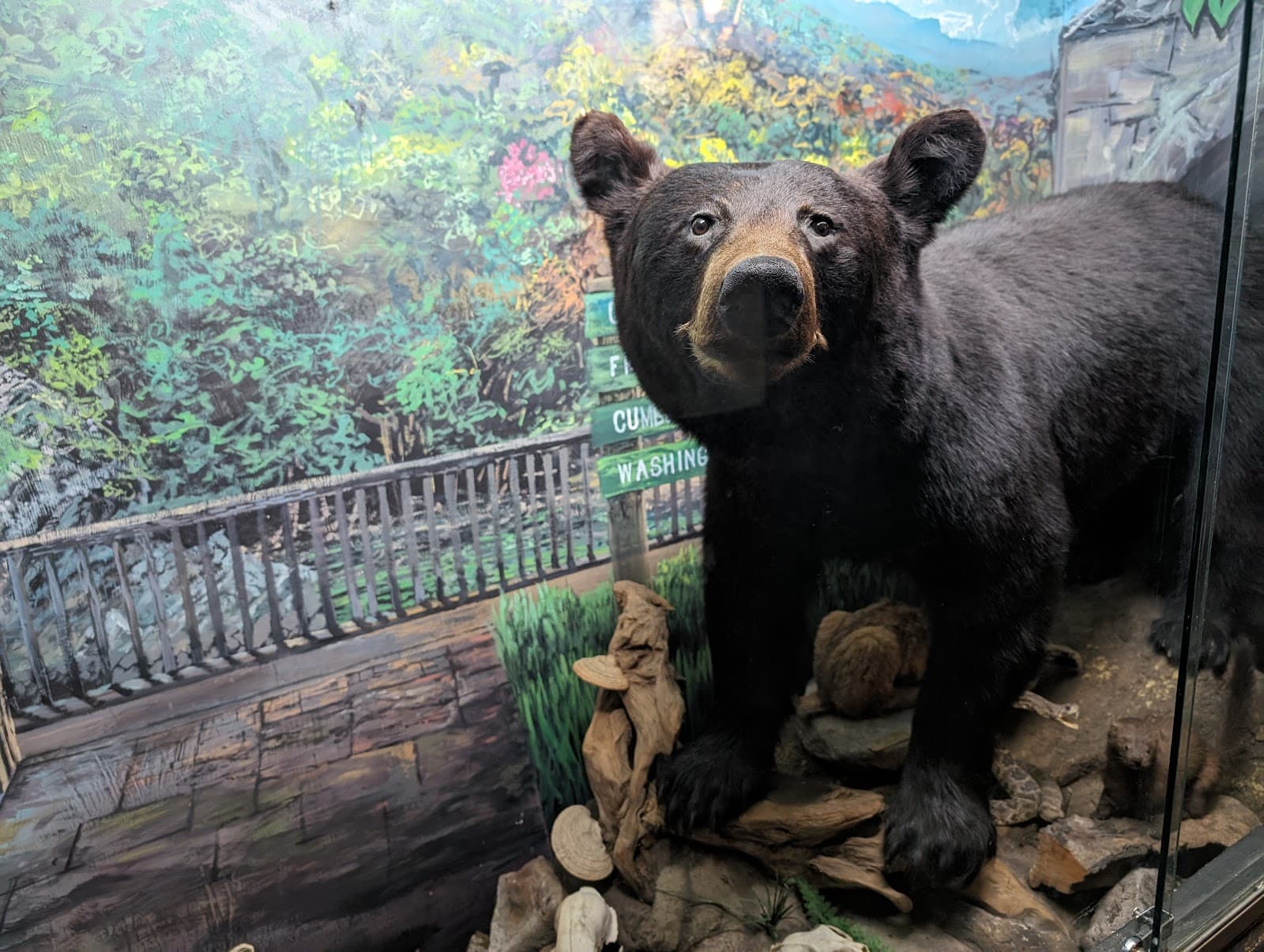 Route 40 Brewing & Distilling Company photo 9