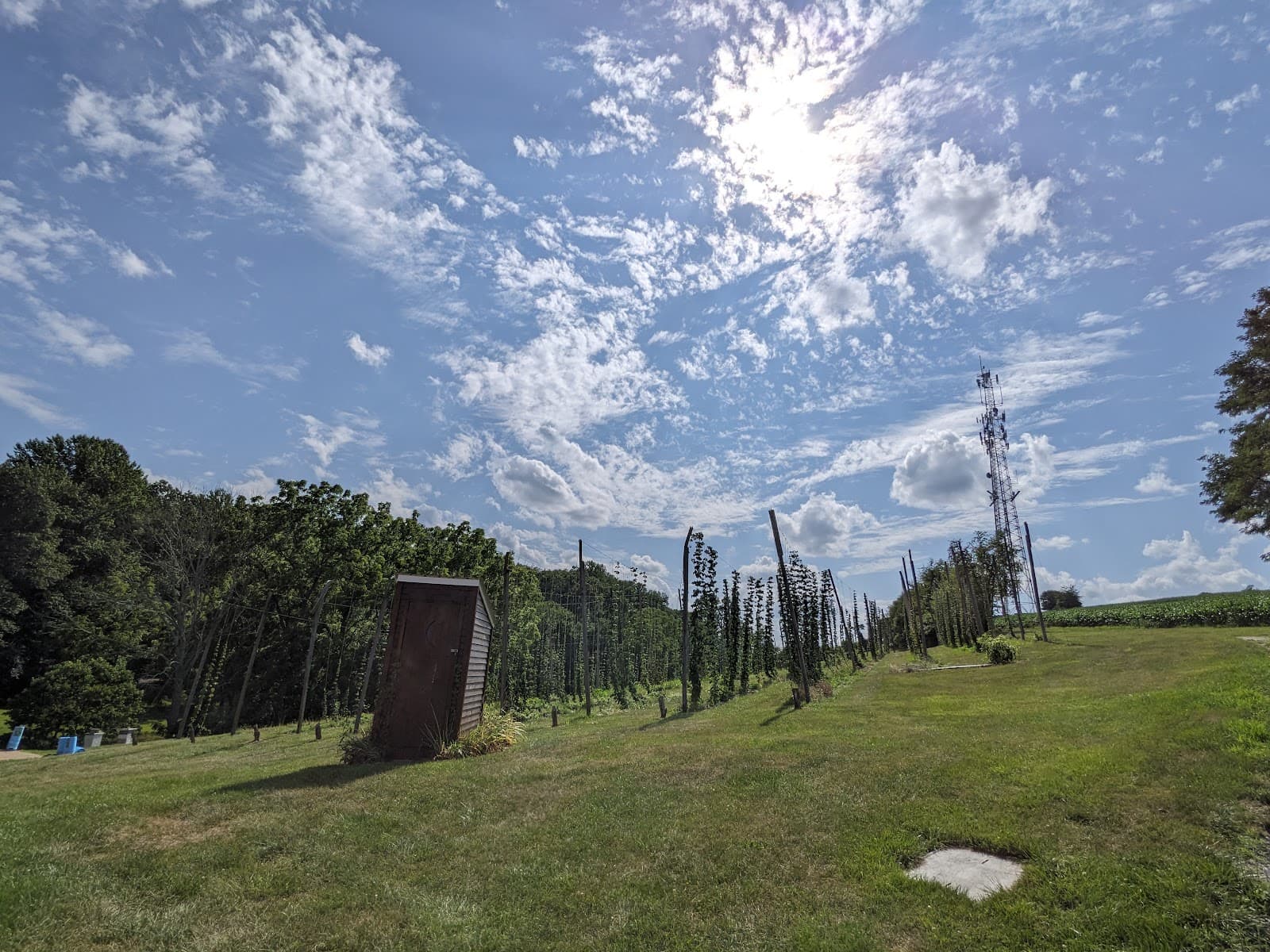 Ruhlman Brewery/Our Ales photo 5