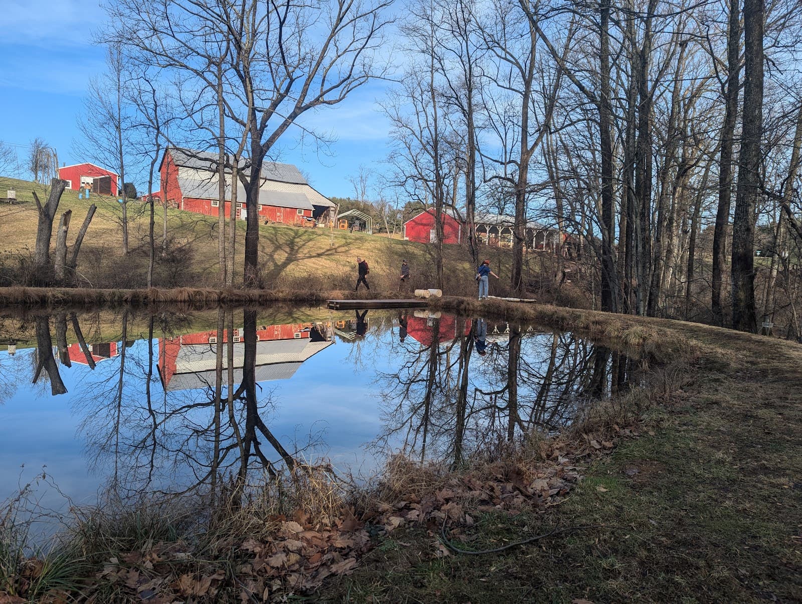 Ruhlman Brewery/Our Ales photo 7