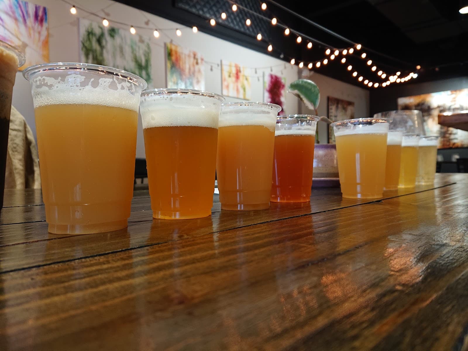 Sapwood Cellars photo 6