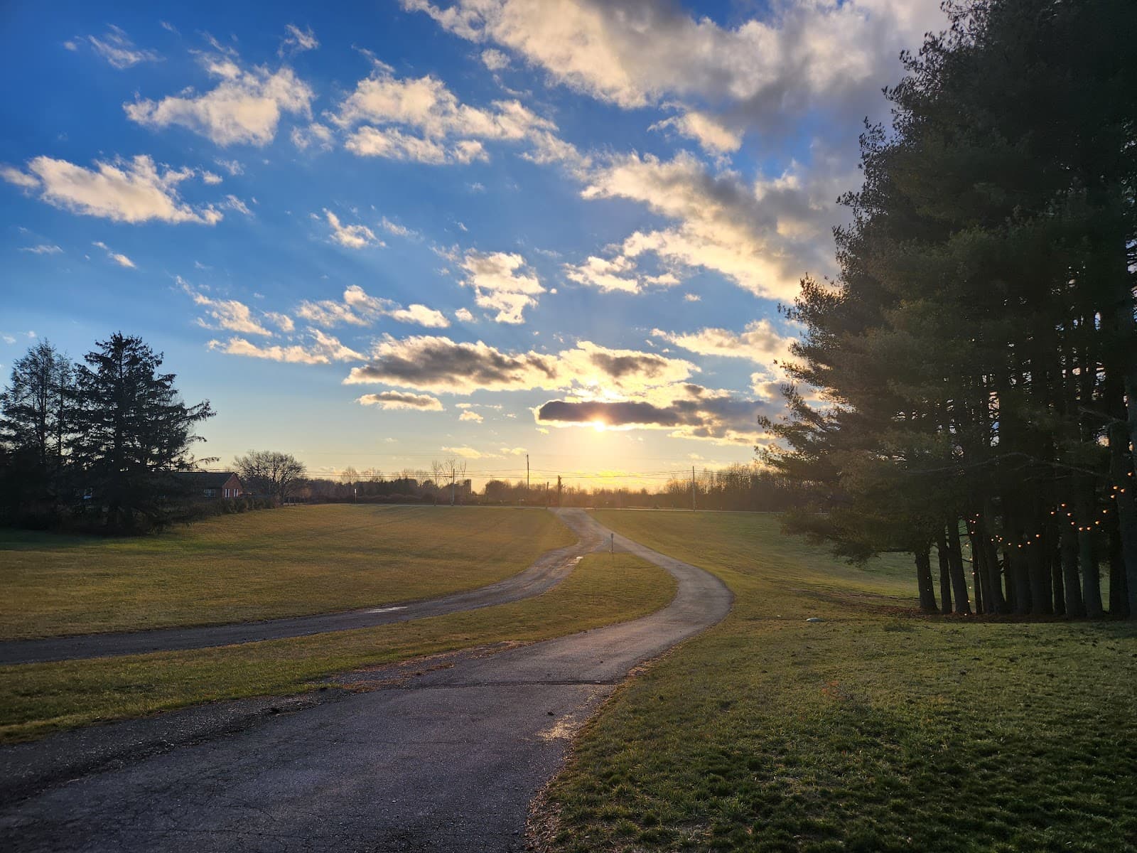 Silly Yak Beer Company photo 1