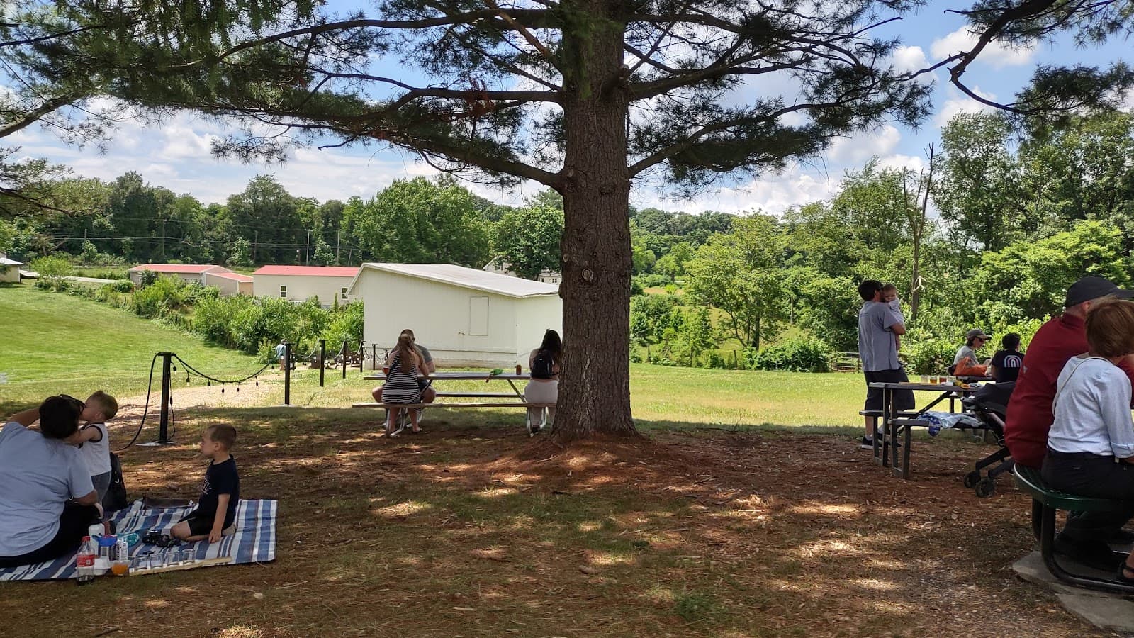 Silly Yak Beer Company photo 5