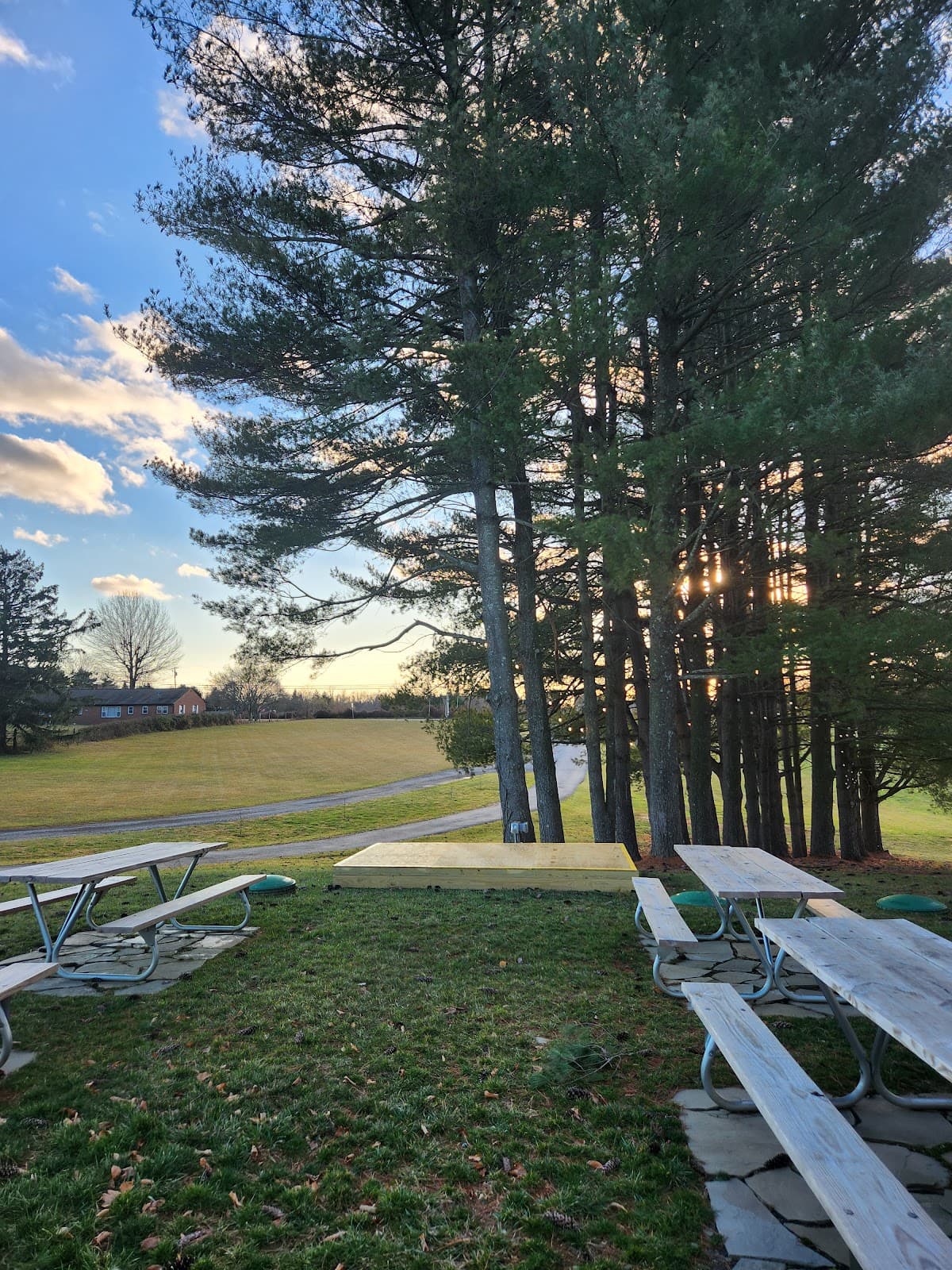 Silly Yak Beer Company photo 9