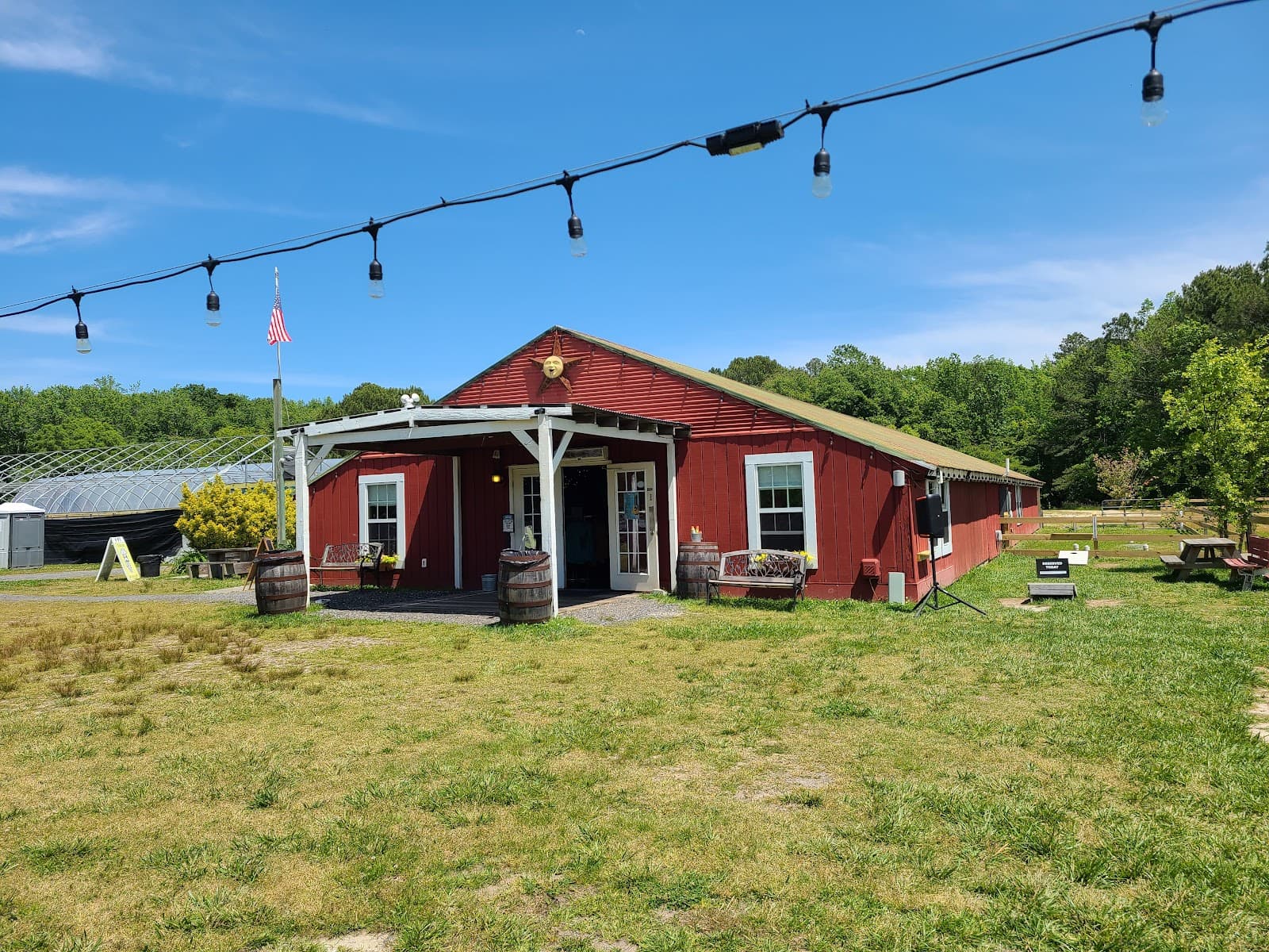 Sinepuxent Brewing Company photo 2