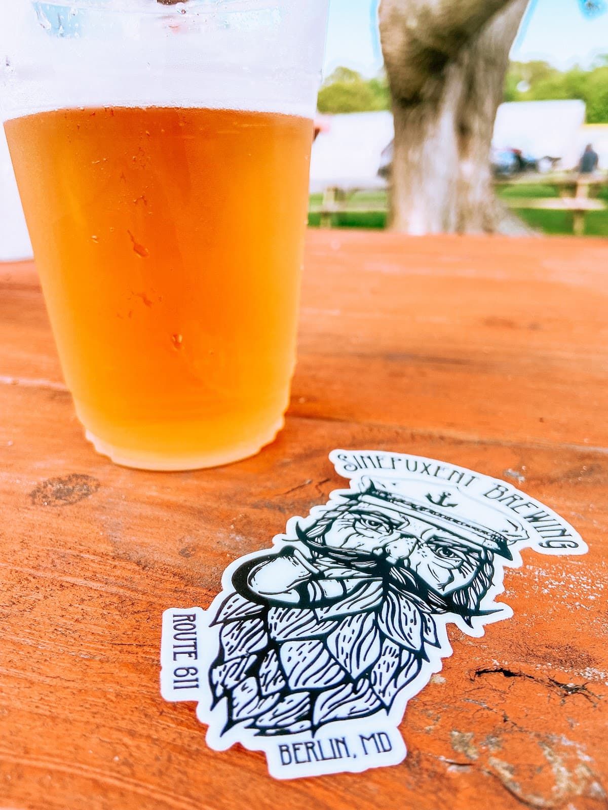 Sinepuxent Brewing Company photo 5