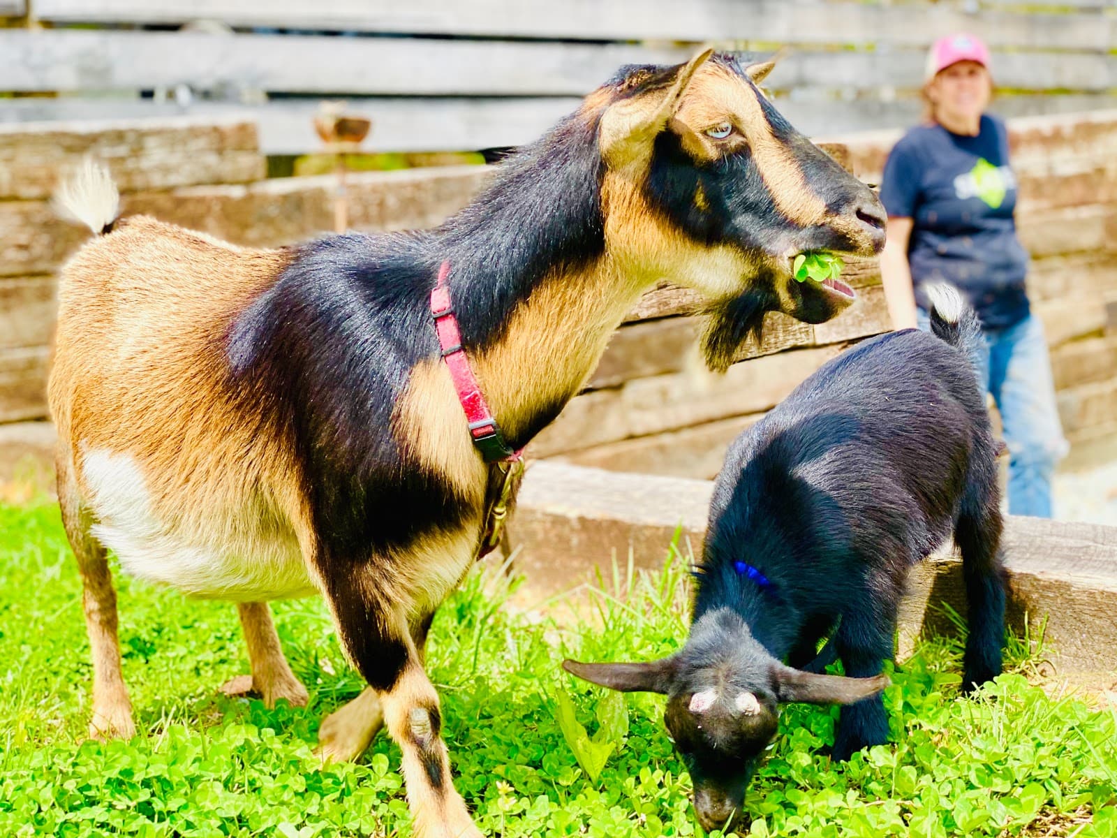 Slate Farm Brewery photo 7