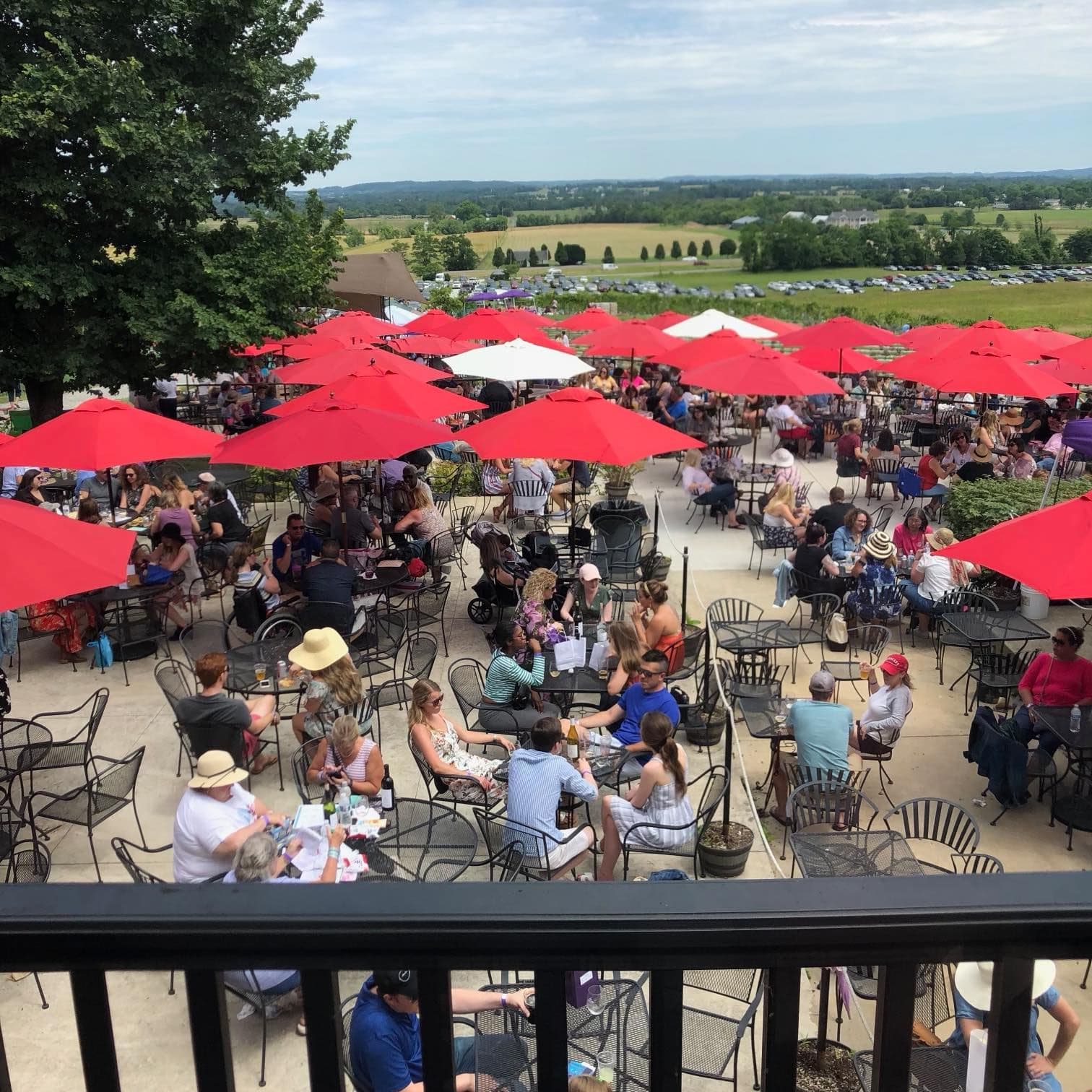 Springfield Manor Winery Distillery Brewery photo 3