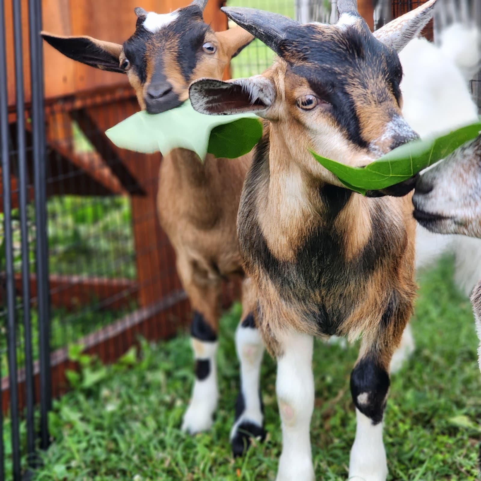 Susky River Beverage Co photo 6