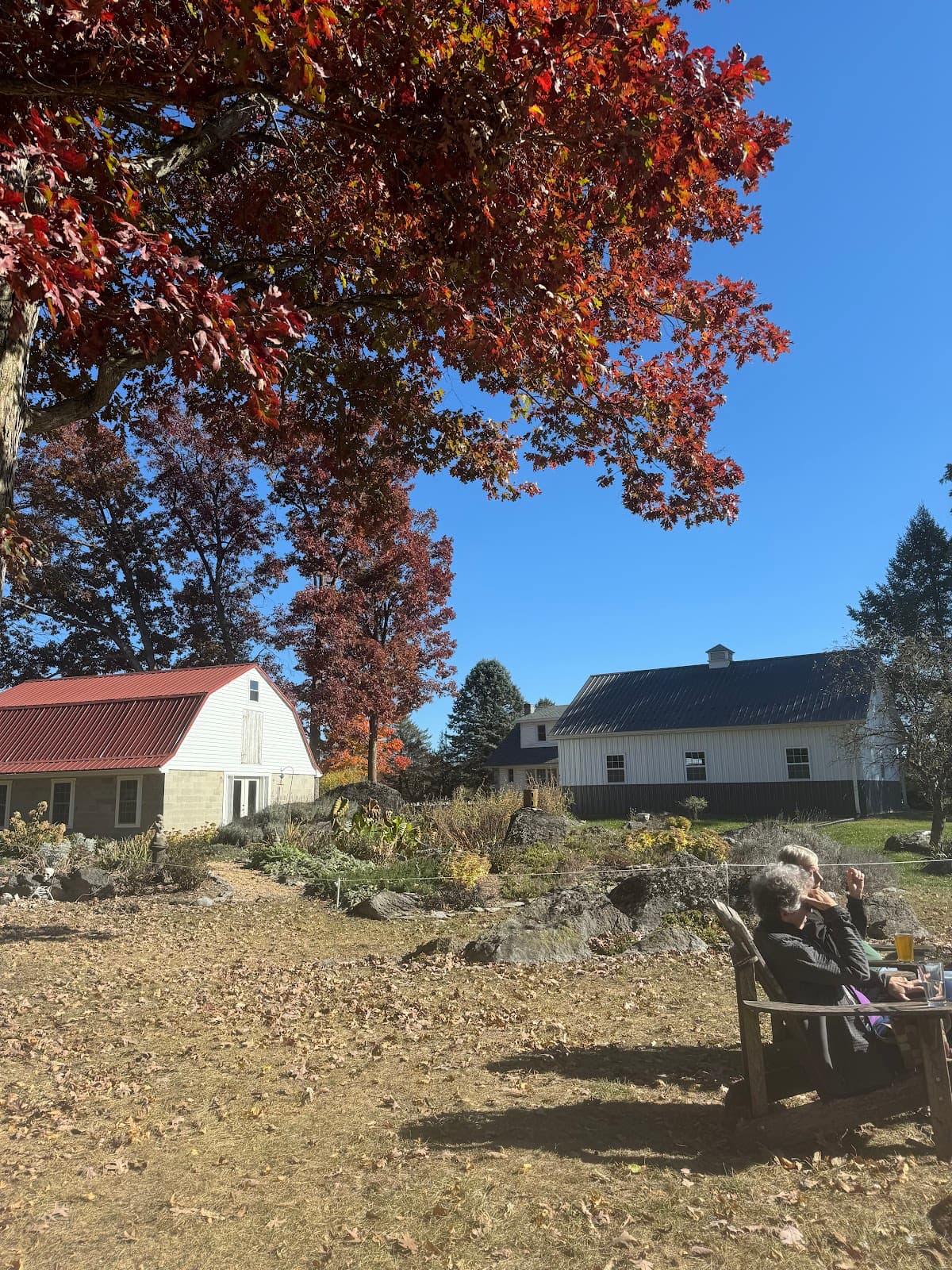 Upper Stem Brewery photo 8
