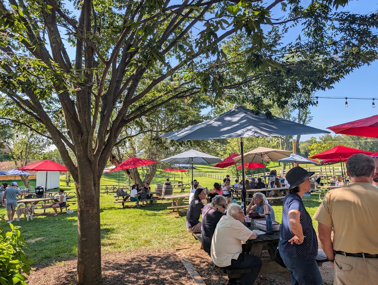 Waredaca Brewing Company photo 5