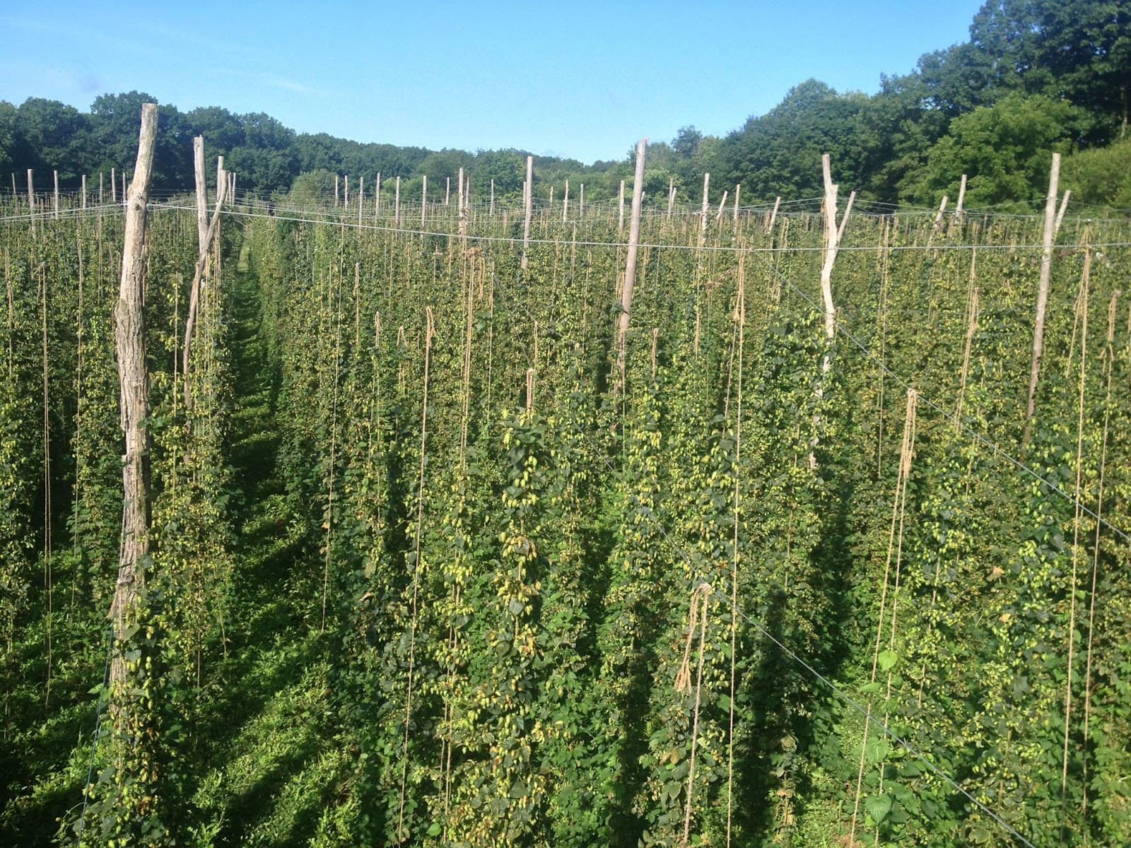Black Locust Hops Farm Brewery exterior