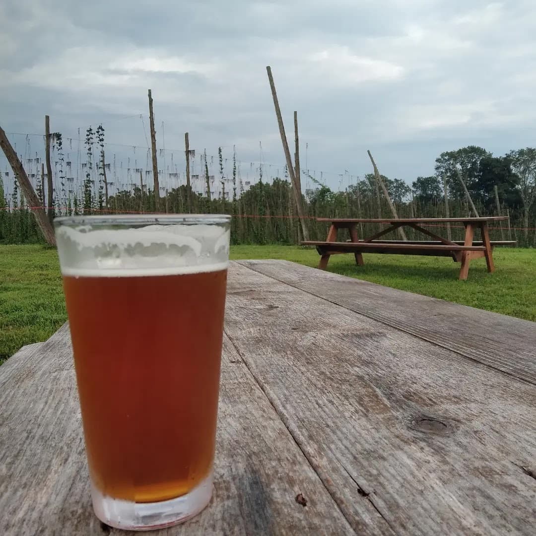Black Locust Hops Farm Brewery photo 5