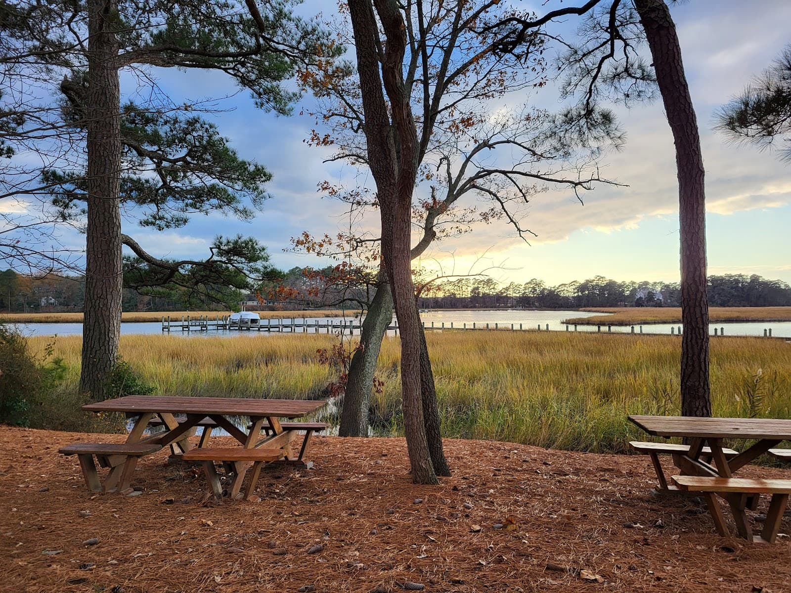 Bordeleau Vineyards & Winery photo 4