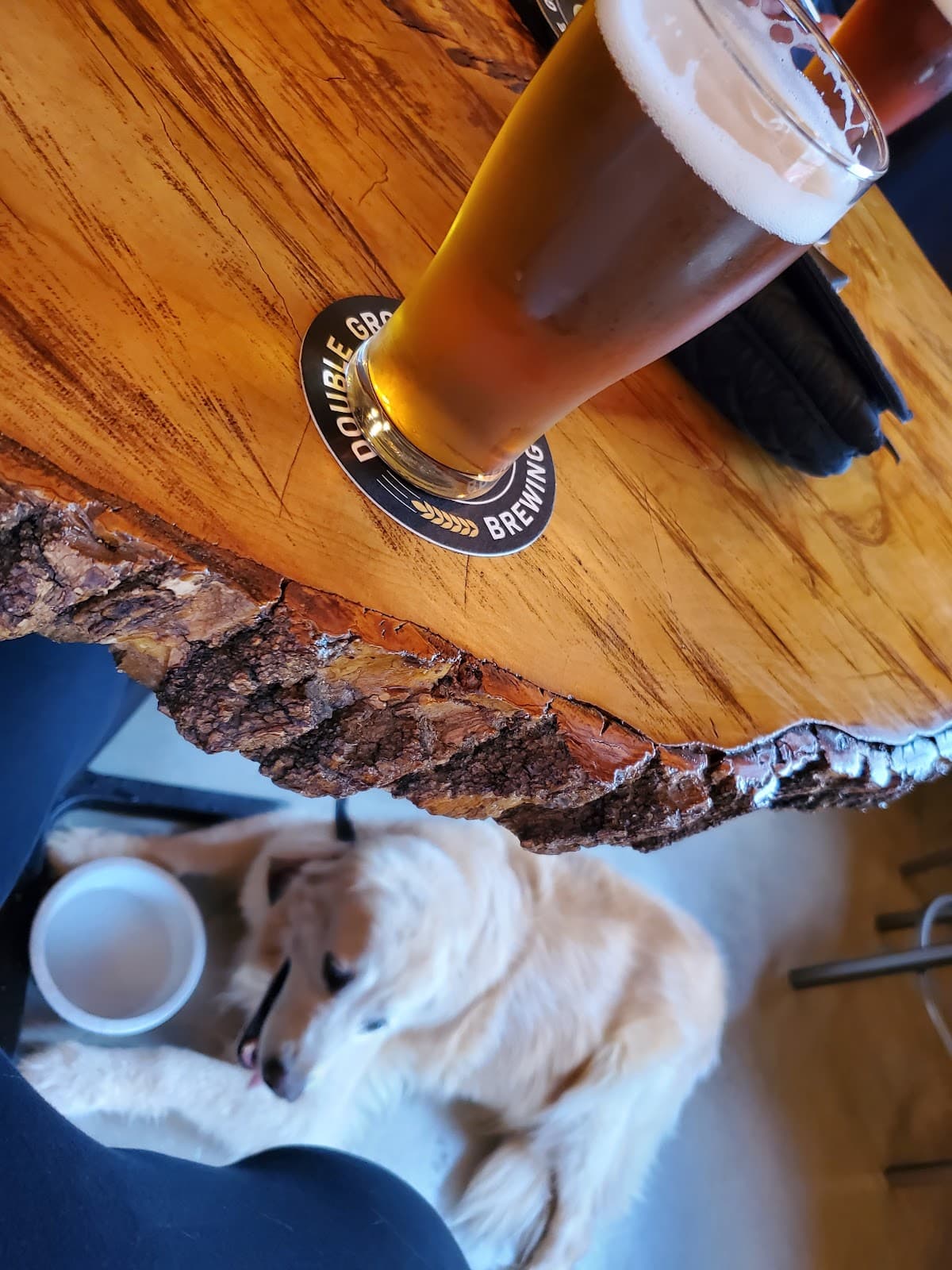 Double Groove Brewing photo 1