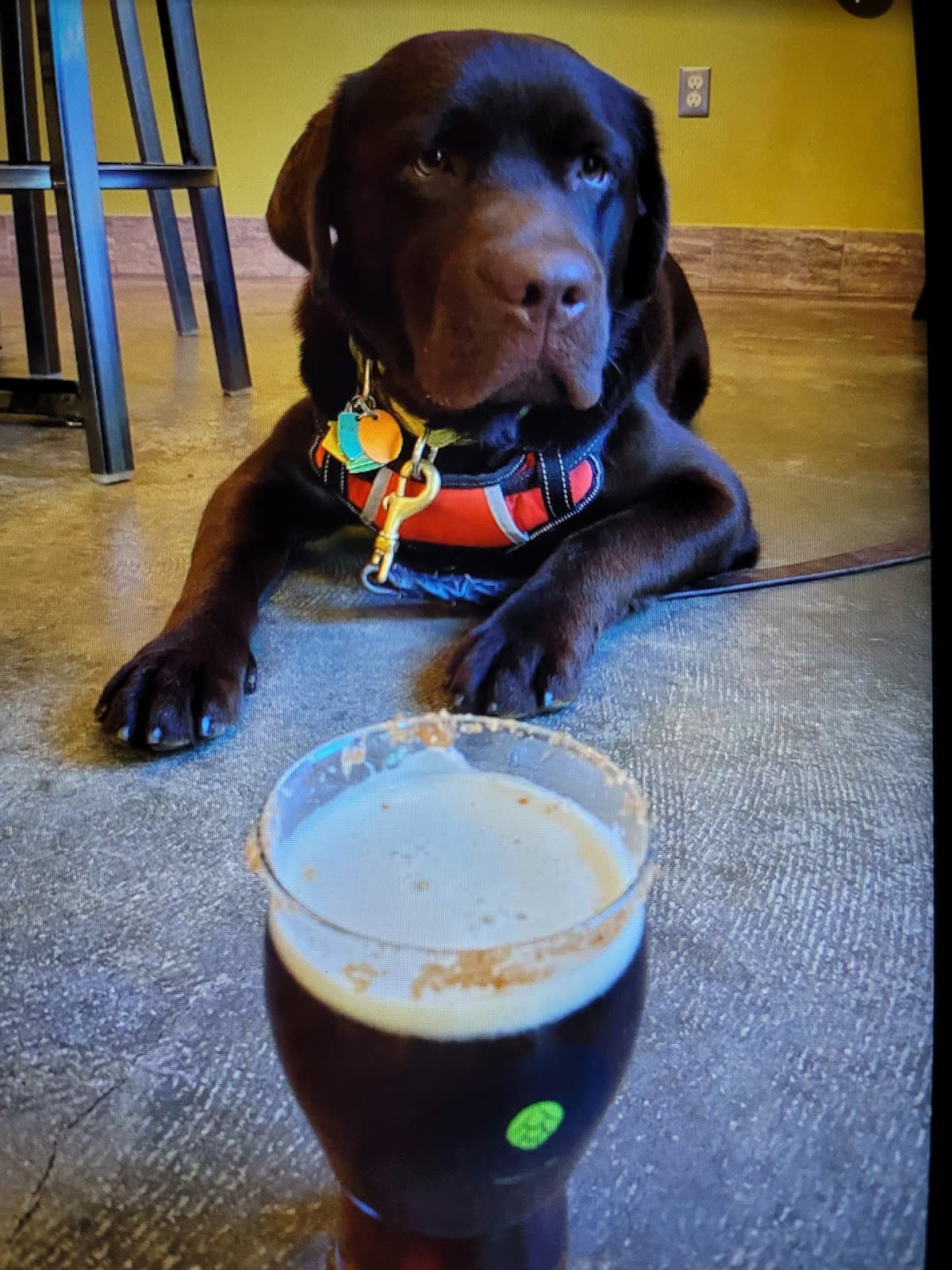 Double Groove Brewing photo 9