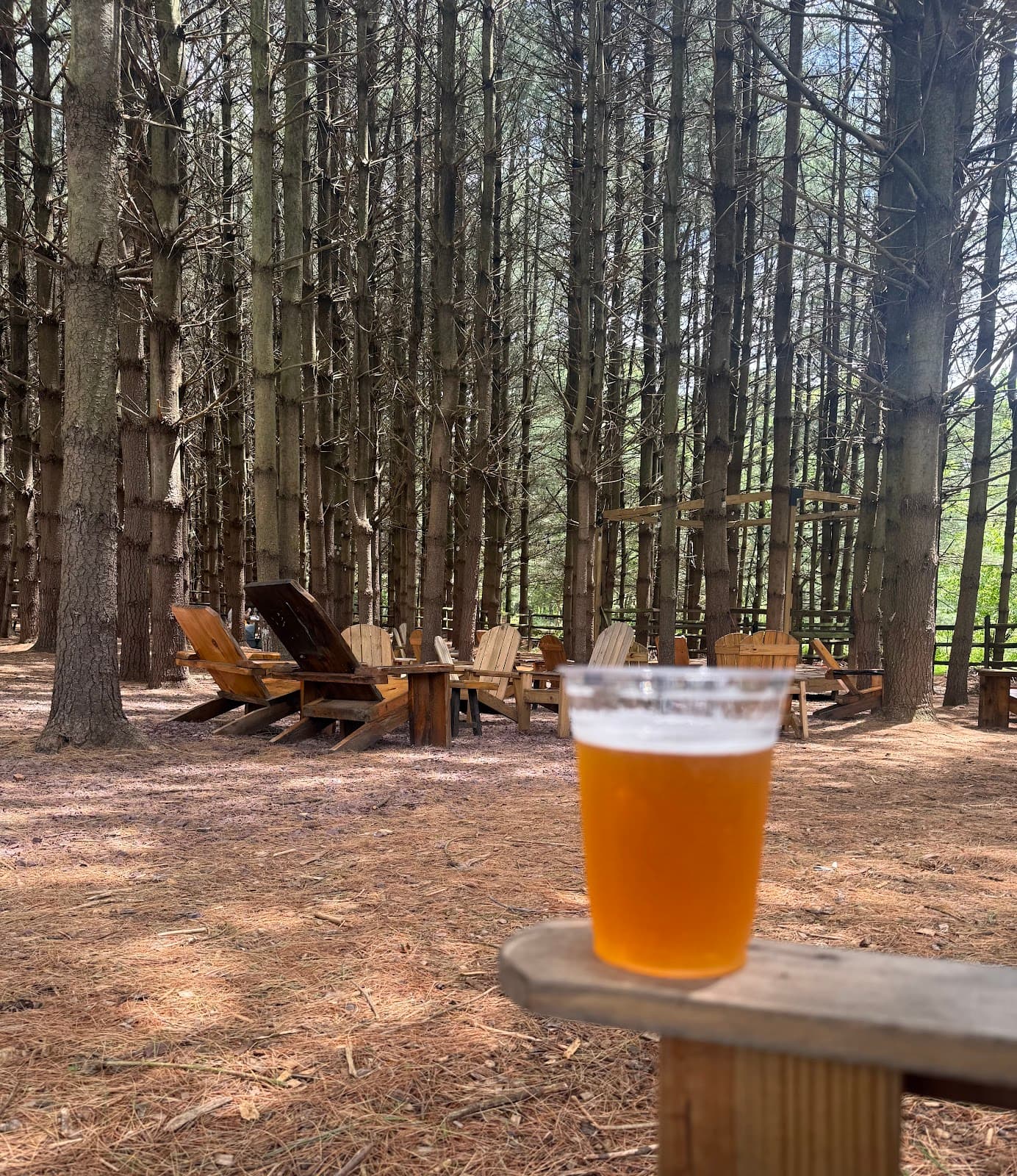 Elder Pine Brewing & Blending Co exterior