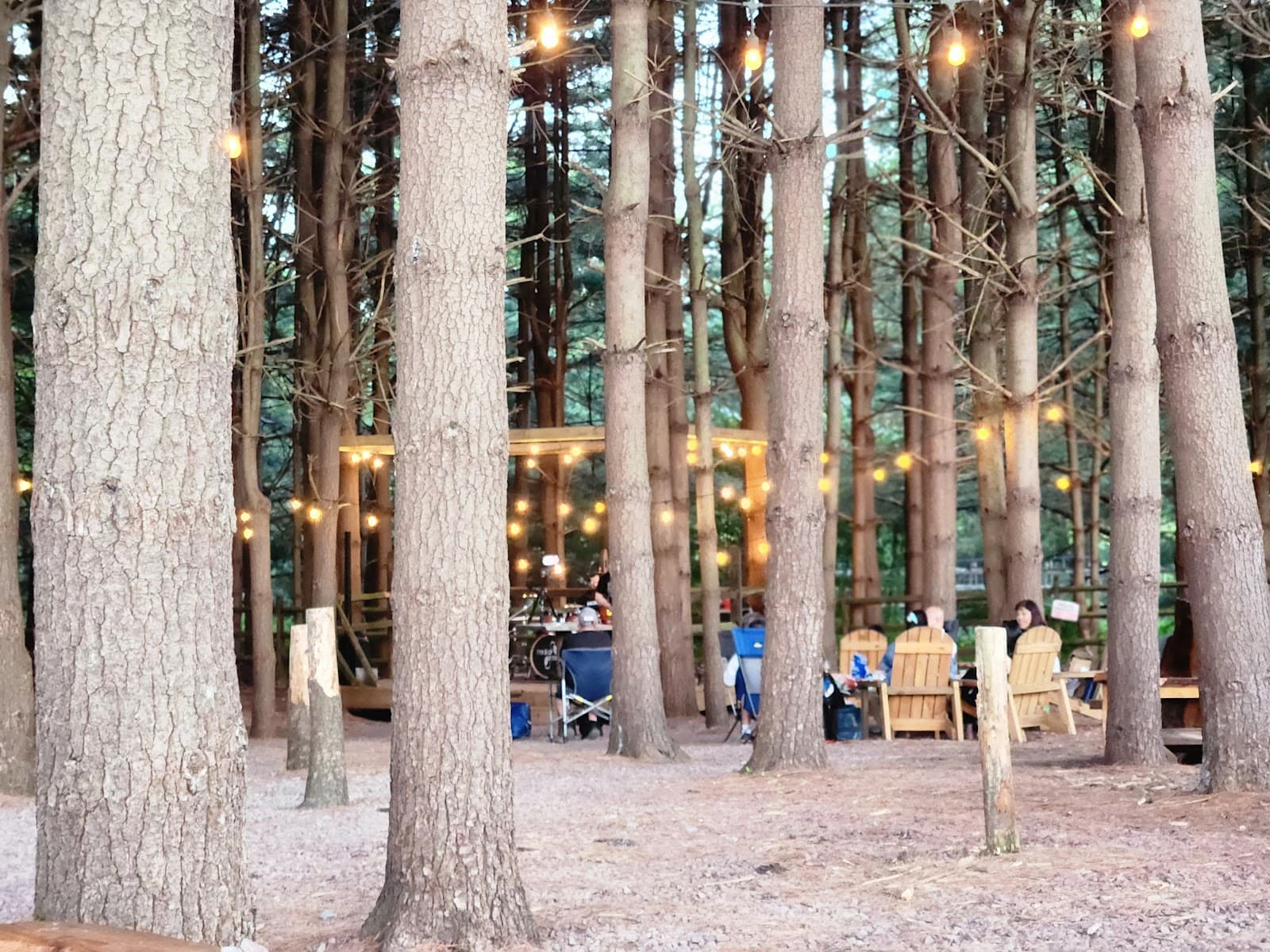 Elder Pine Brewing & Blending Co photo 2