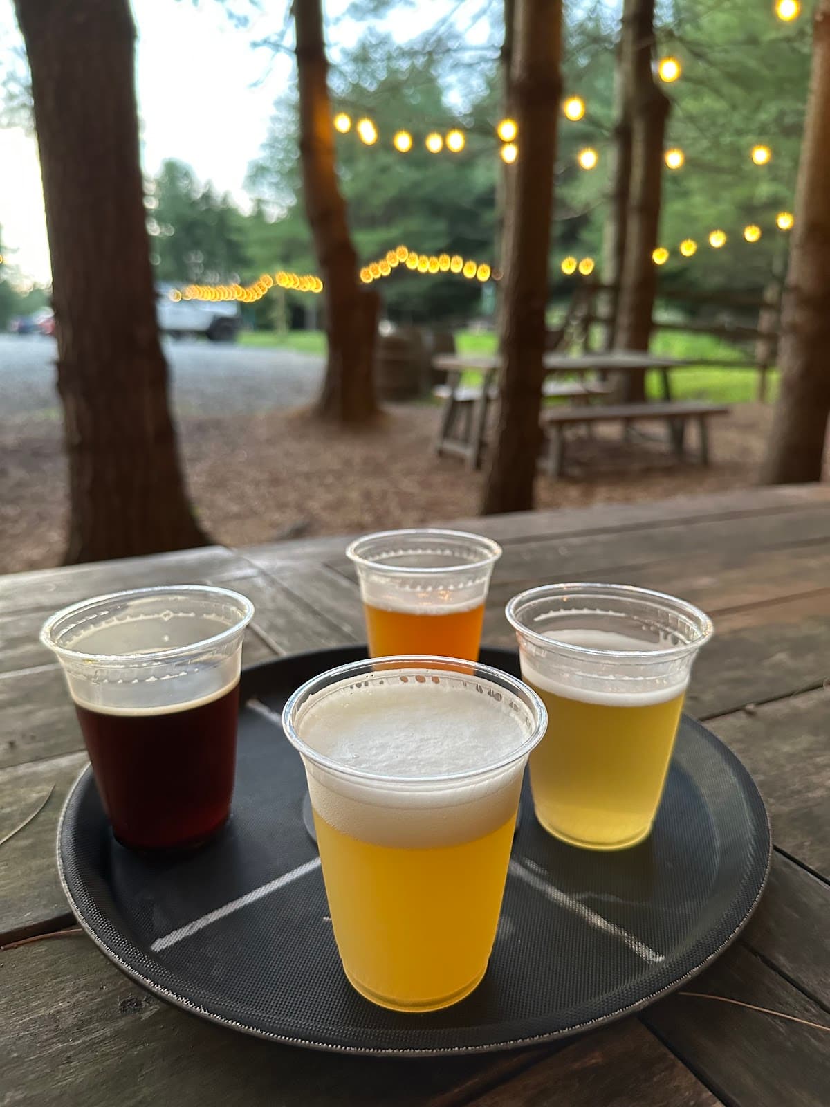 Elder Pine Brewing & Blending Co photo 3