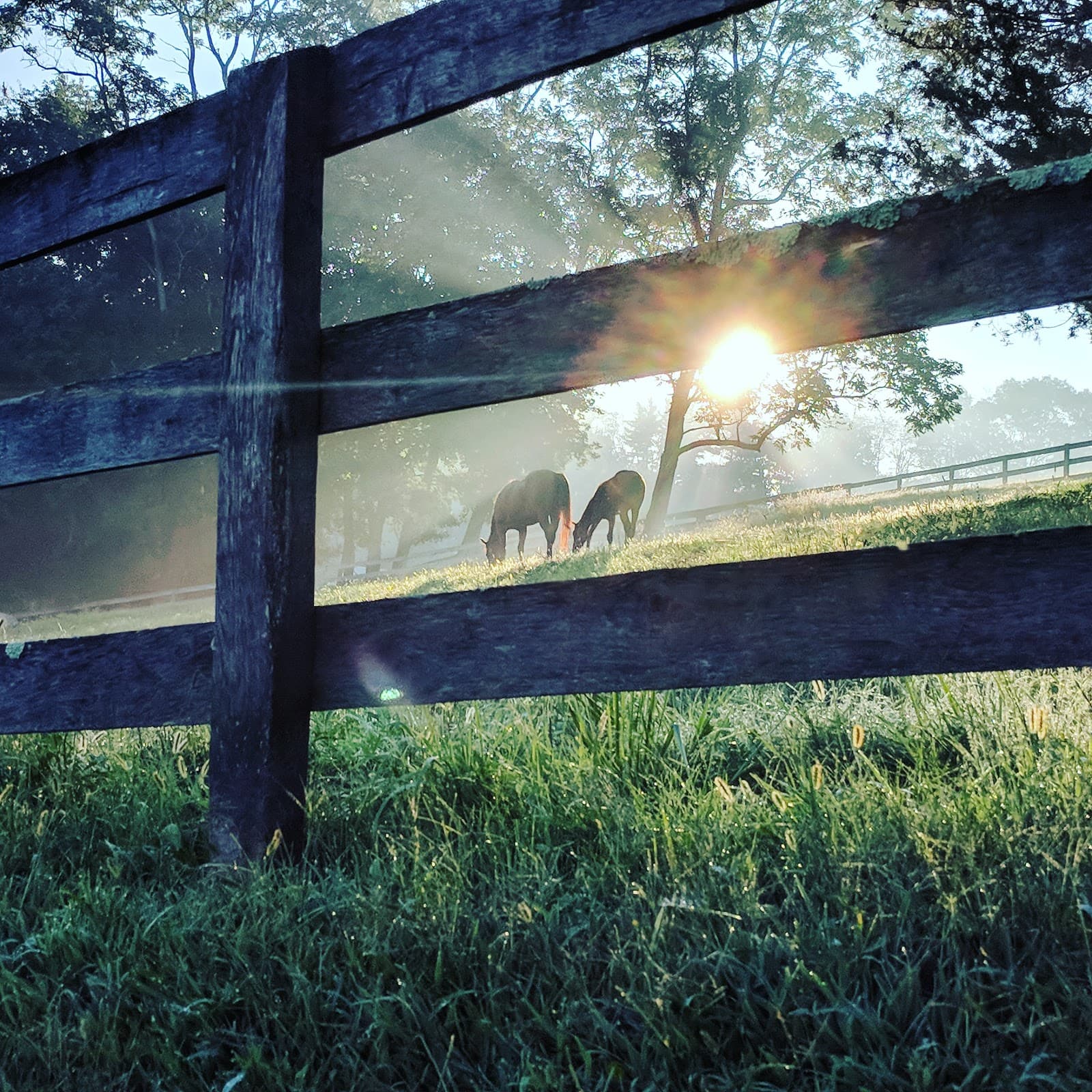 Farmacy Cultivated Craft exterior