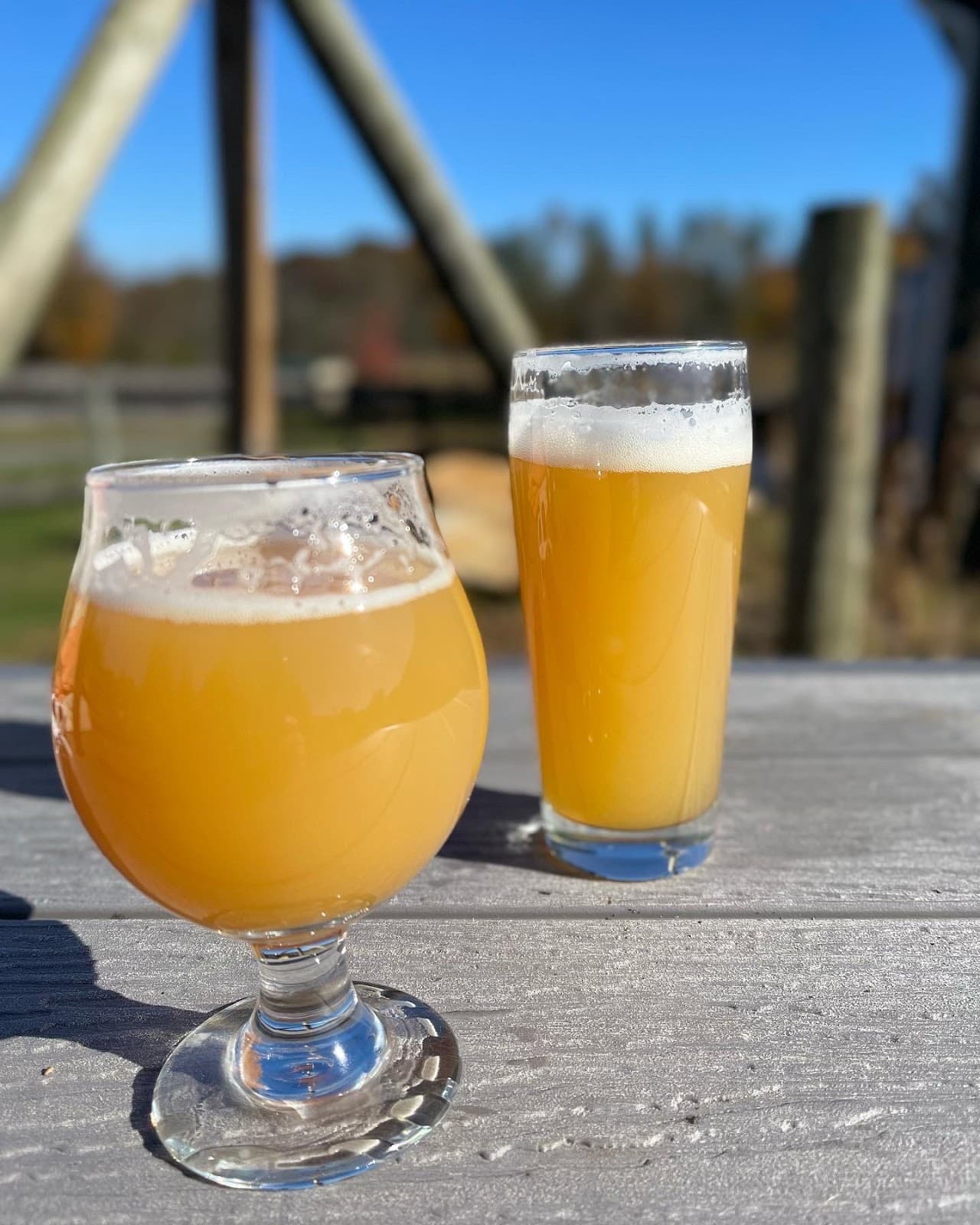 Farmacy Cultivated Craft photo 2