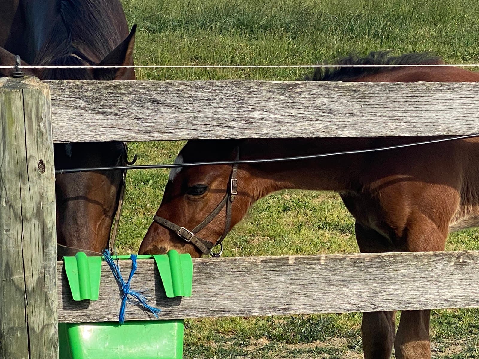 Farmacy Cultivated Craft photo 5