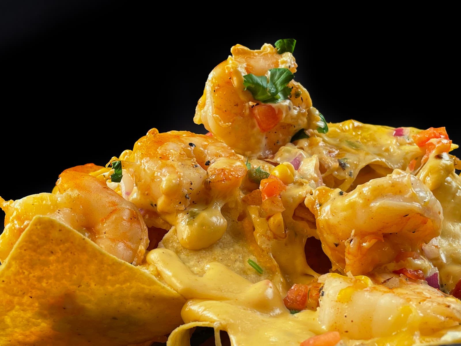 Fin City Brewing Company photo 1