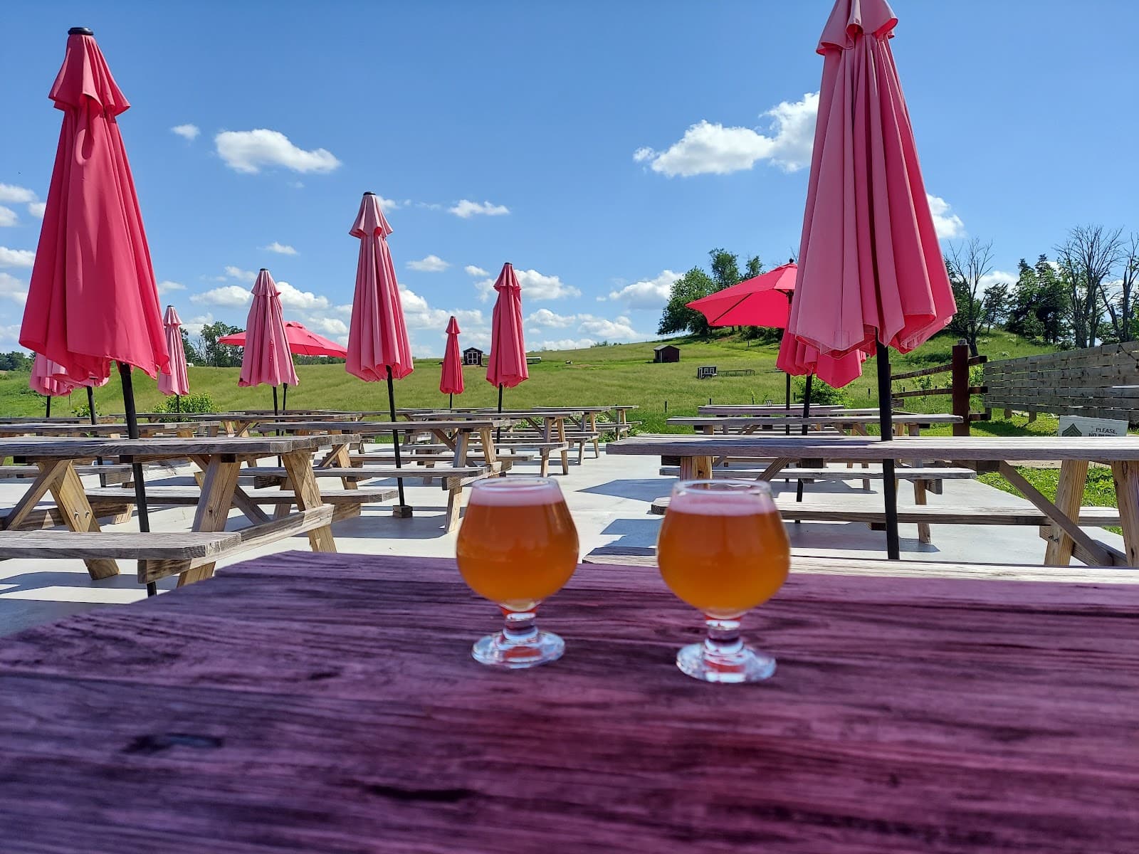 Frey's Brewing Company photo 6