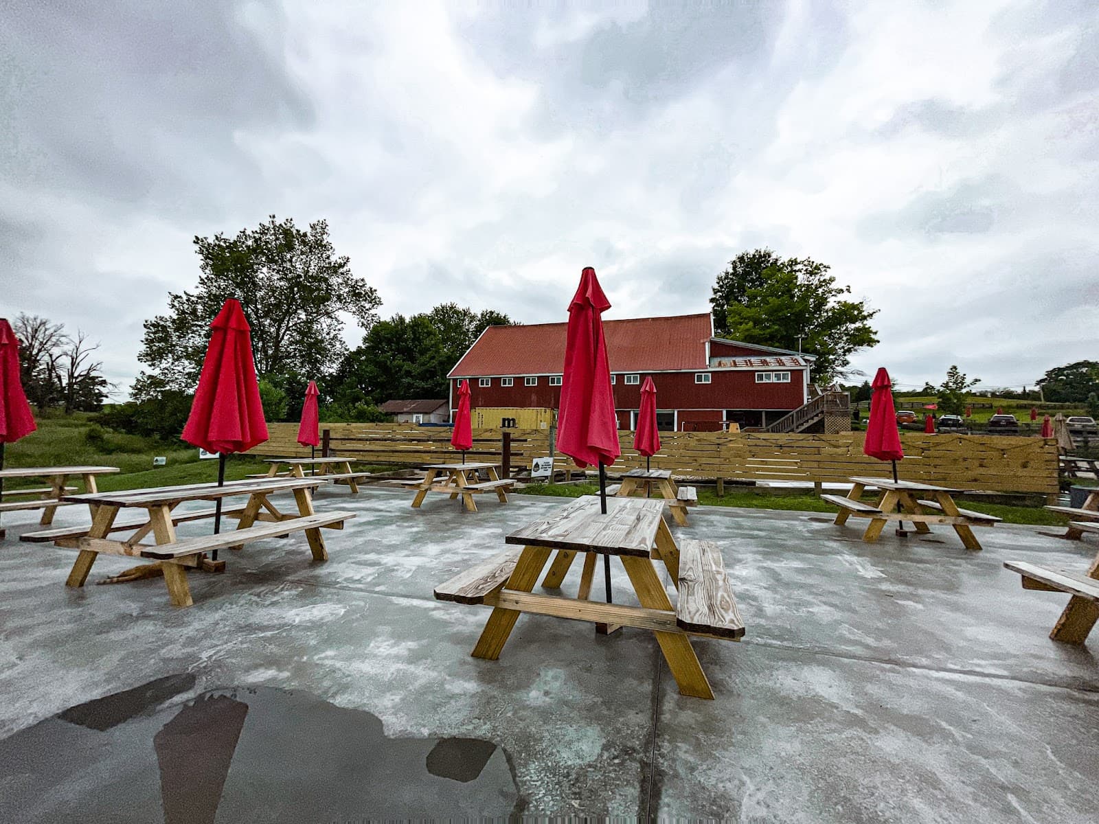 Frey's Brewing Company photo 8