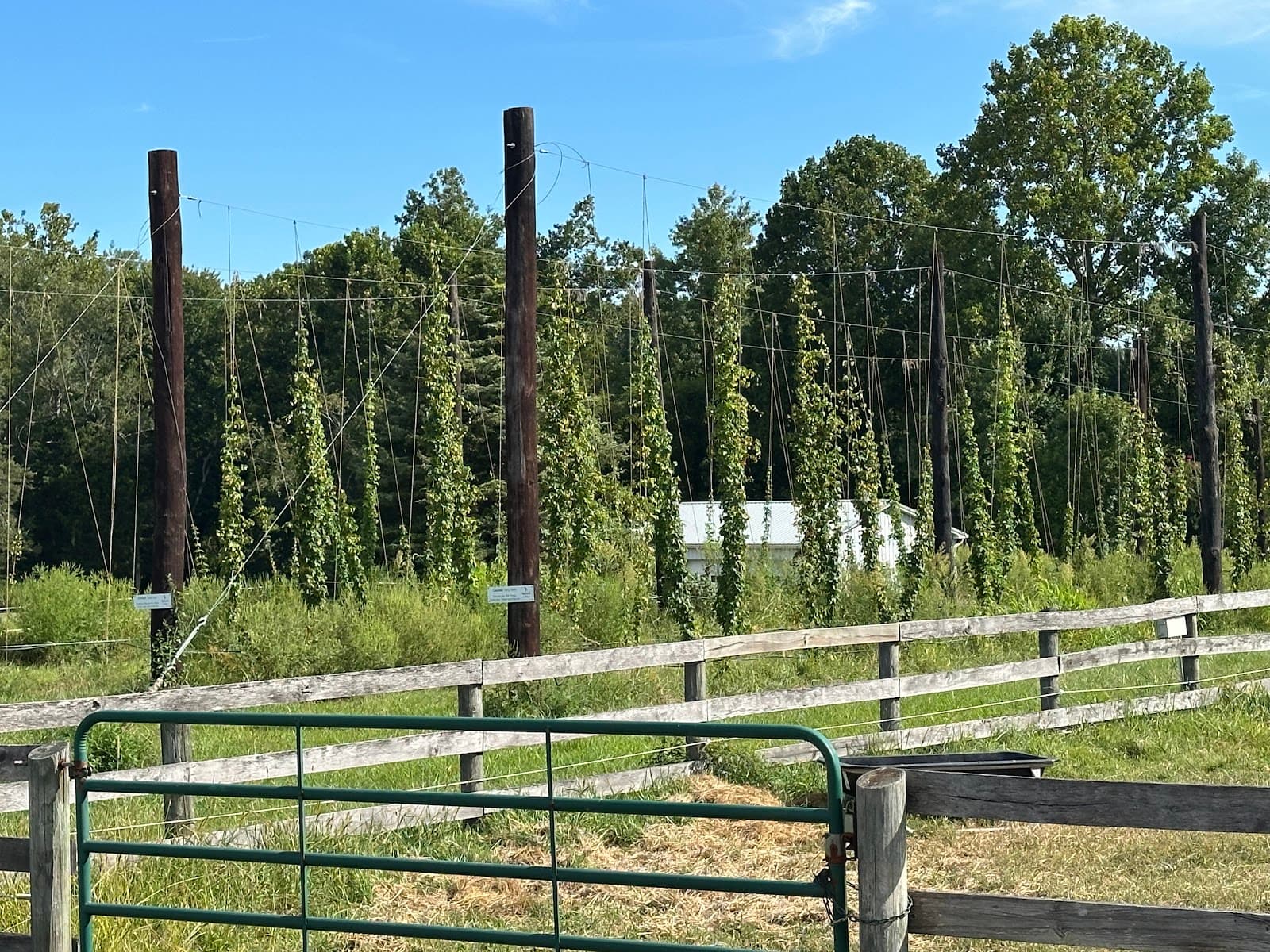 HopScratch Farm & Brewery photo 1