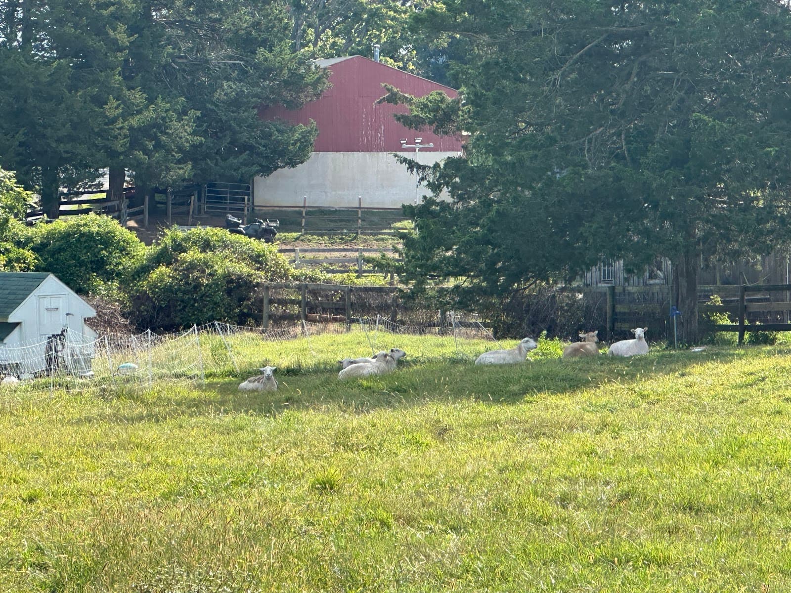 HopScratch Farm & Brewery photo 3