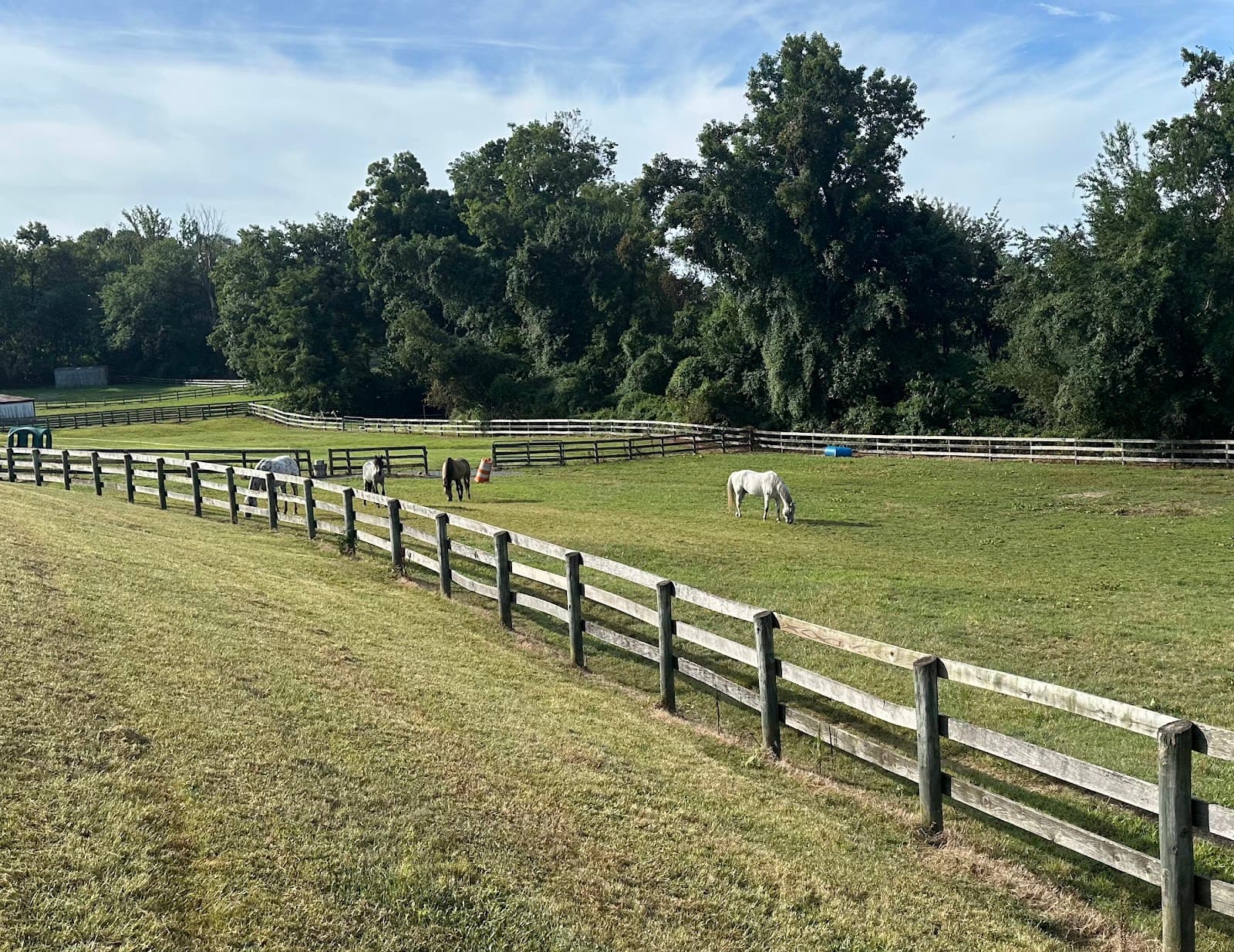 HopScratch Farm & Brewery photo 5