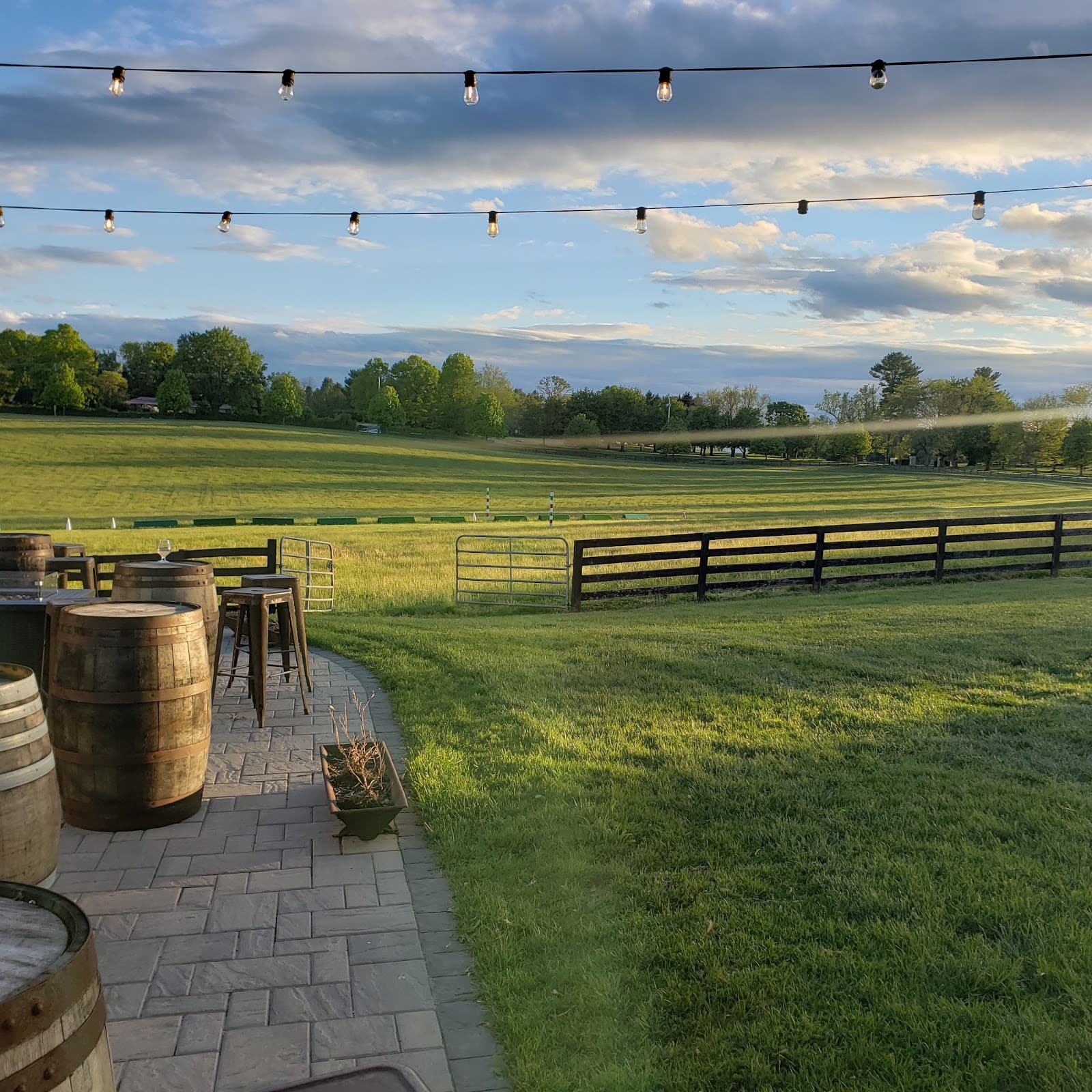 Inverness Brewing photo 2