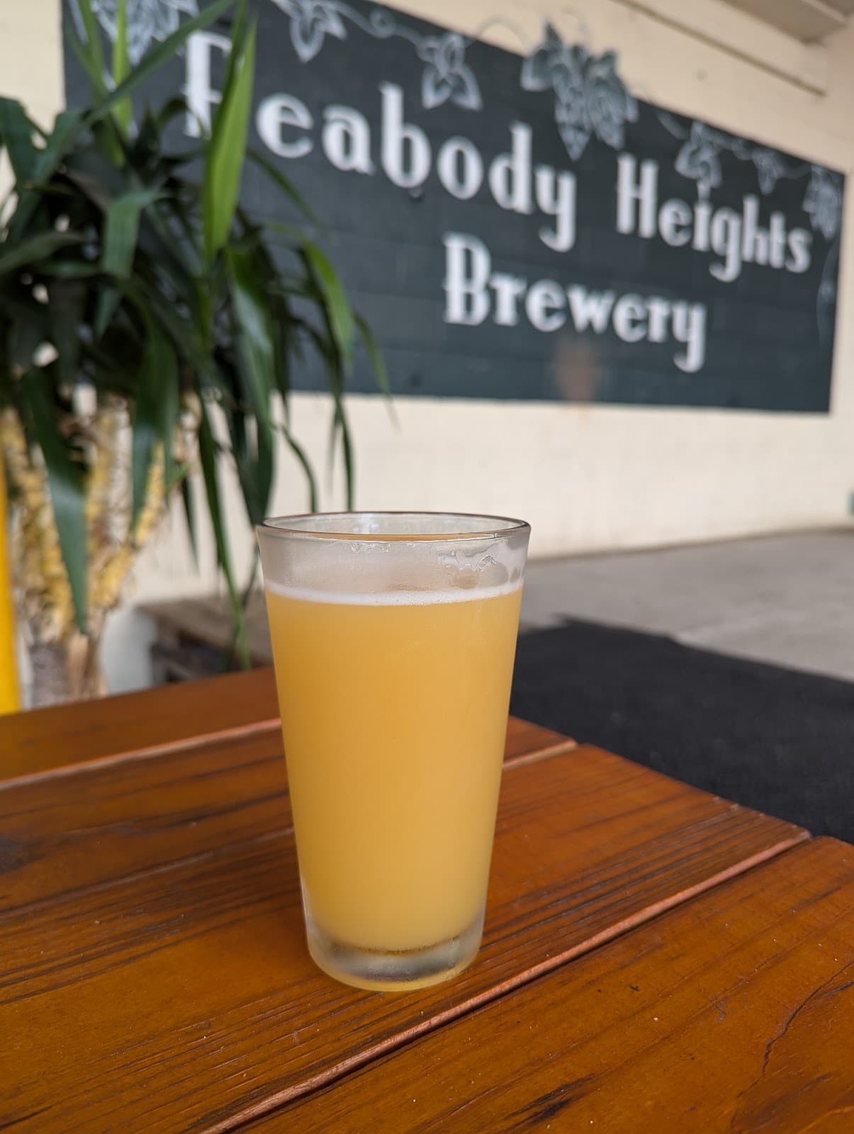 Joyhound Beer Company photo 1