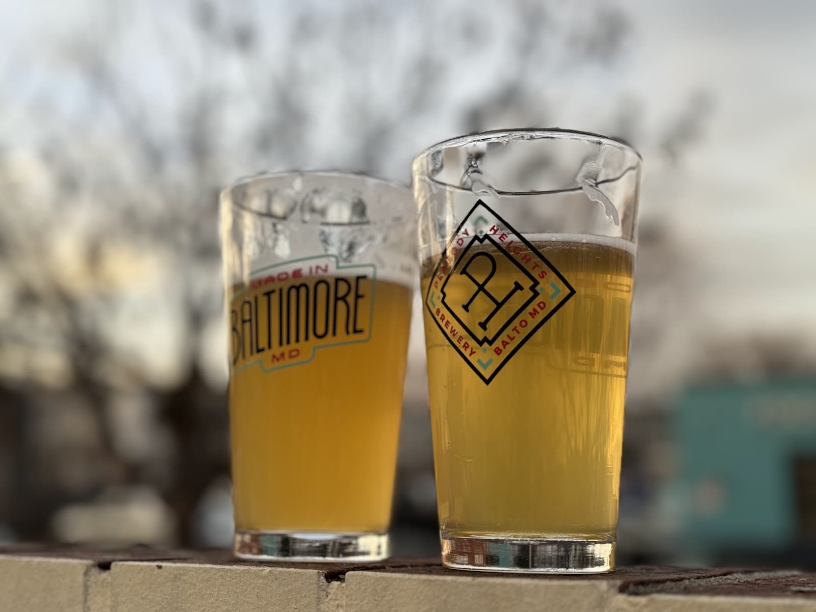 Joyhound Beer Company photo 8