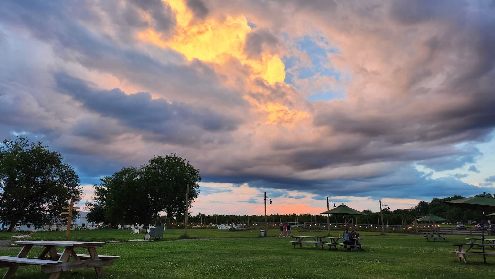 Landmade Brewing photo 9