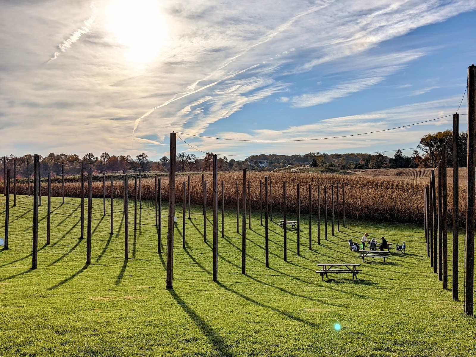 Manor Hill Brewing photo 2