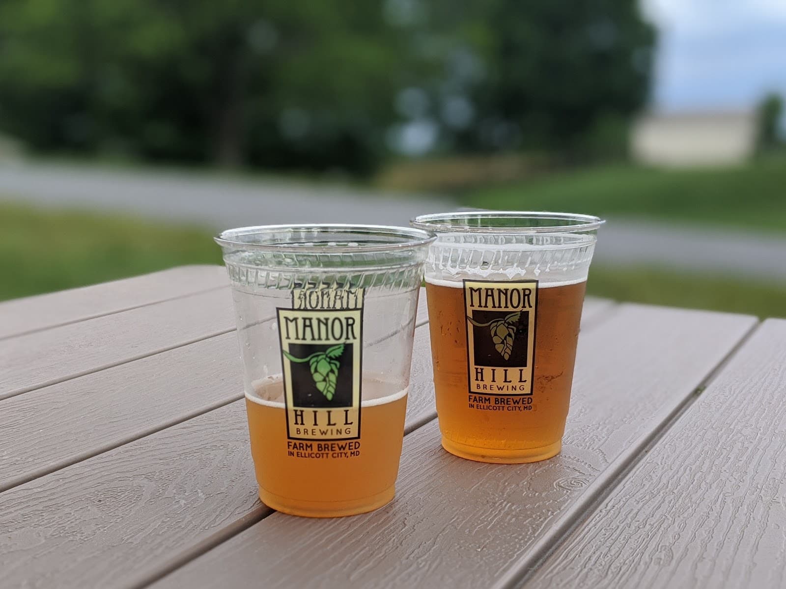 Manor Hill Brewing photo 4