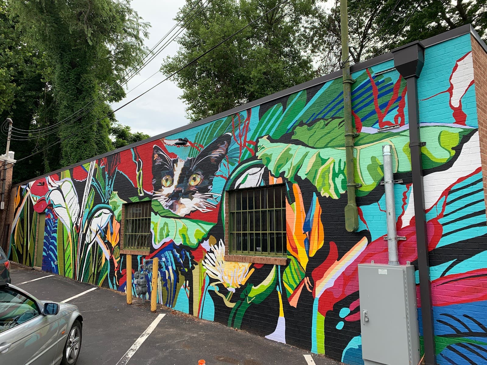 BabyCat Brewery photo 3