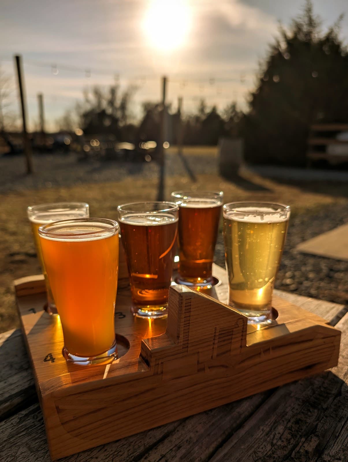 Potomac Ridge Brewing photo 7